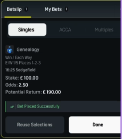 A bookie betslip: Genealogy, win and each way, £100 stake at 2.50, bet placed successfully.