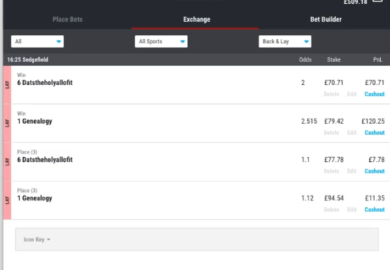 The exchange showing four matched lays, win and place on both runners, at the stakes the calculator asked for.