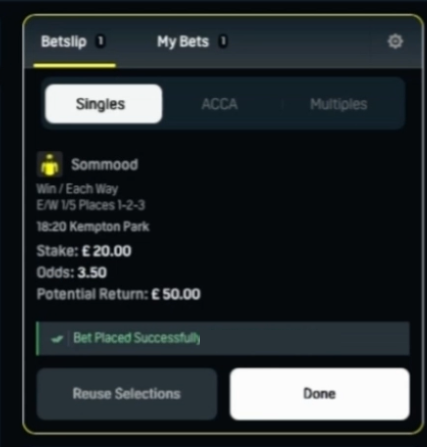 A bookie betslip: Sommood, win and each way, £20 stake at 3.50, bet placed successfully.